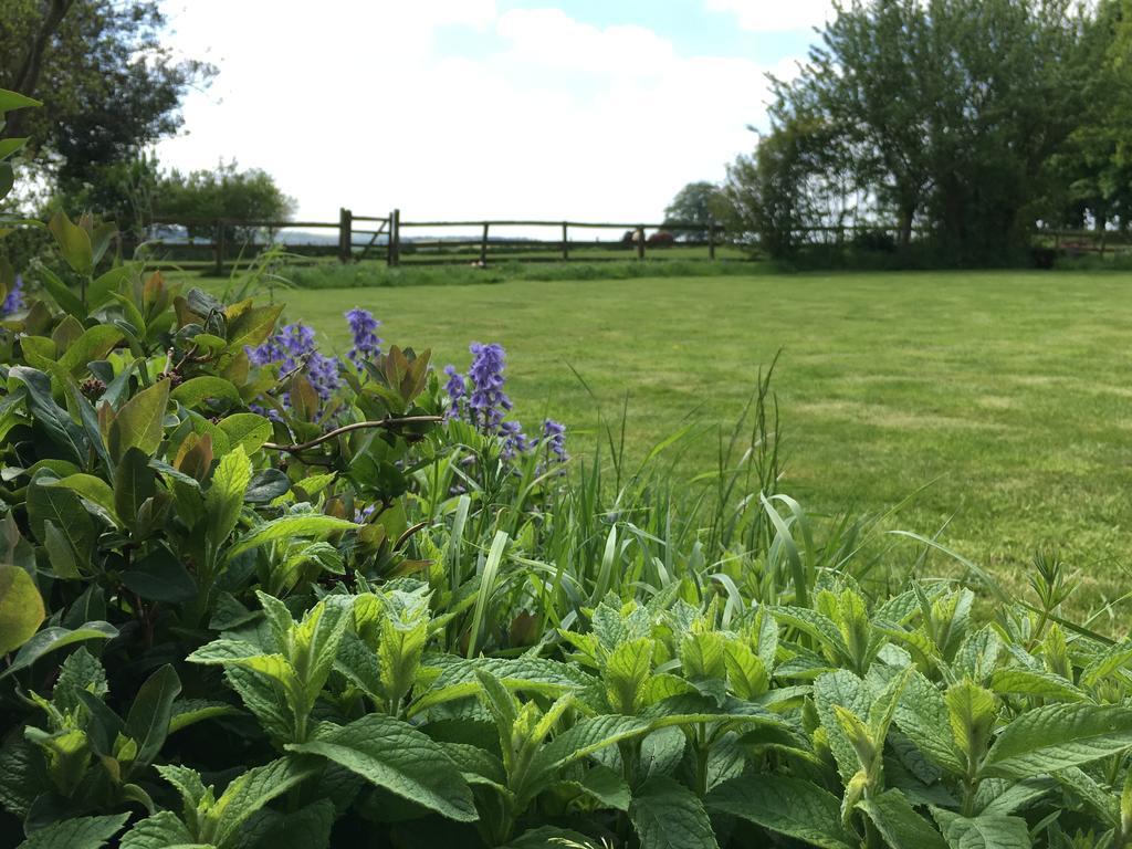 Cotswolds Mine Hill House Bed & Breakfast Lower Brailes Exterior photo