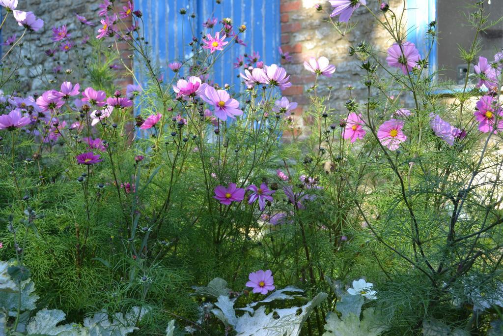Cotswolds Mine Hill House Bed & Breakfast Lower Brailes Exterior photo